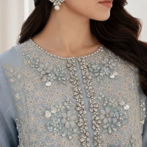 Light Grey Chiffon pakistani party wear