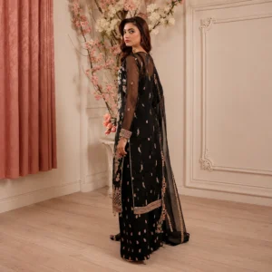 Black Organza Pakistani Party Wear Dresses