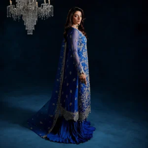Blue Organza party wear pakistani suits