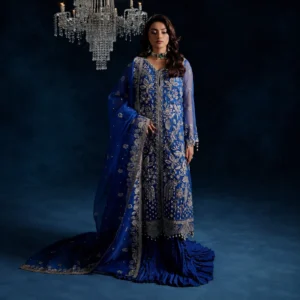 Blue Organza party wear pakistani suits