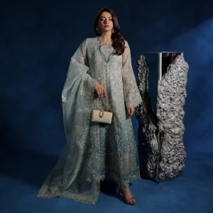 Sage Green Organza Pakistani Party Wear Dresses