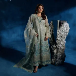Sage Green Organza Pakistani Party Wear Dresses