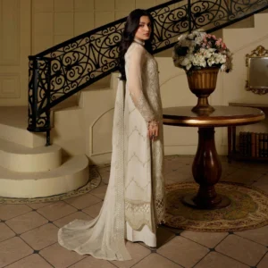 White chiffon pakistani party wear