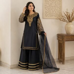 Jet Black pakistani chiffon party wear suit