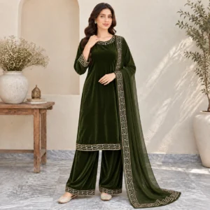 Parrot Stitched Pakistani Velvet Suit