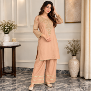 Peach pakistani organza suit