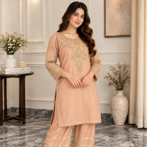 Peach pakistani organza suit (2)